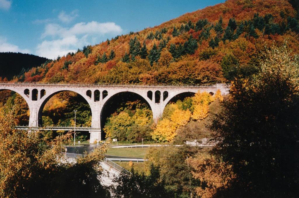 Готель Haus Kesper-Brunen Віллінген Екстер'єр фото